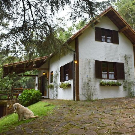 Chalet Da Hortensias Villa Cunha Ngoại thất bức ảnh