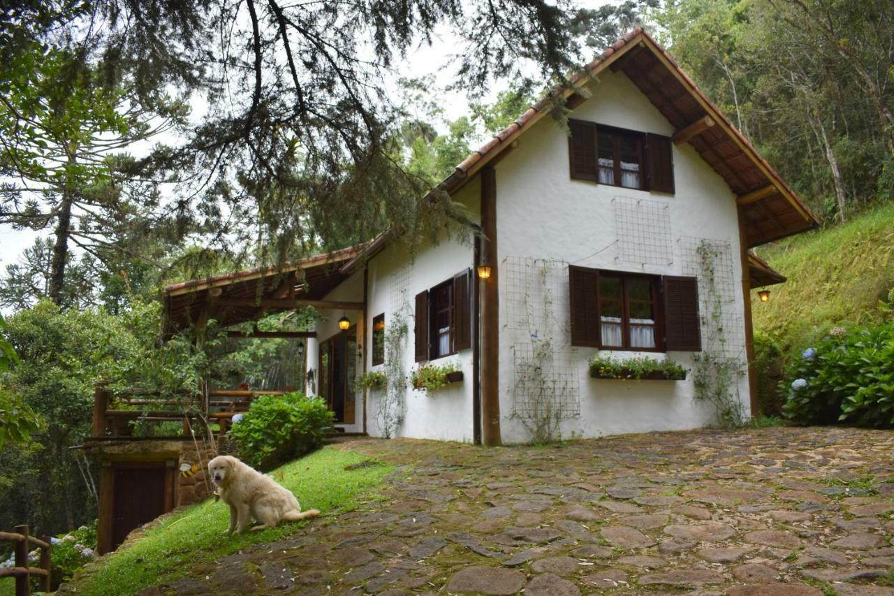 Chalet Da Hortensias Villa Cunha Ngoại thất bức ảnh