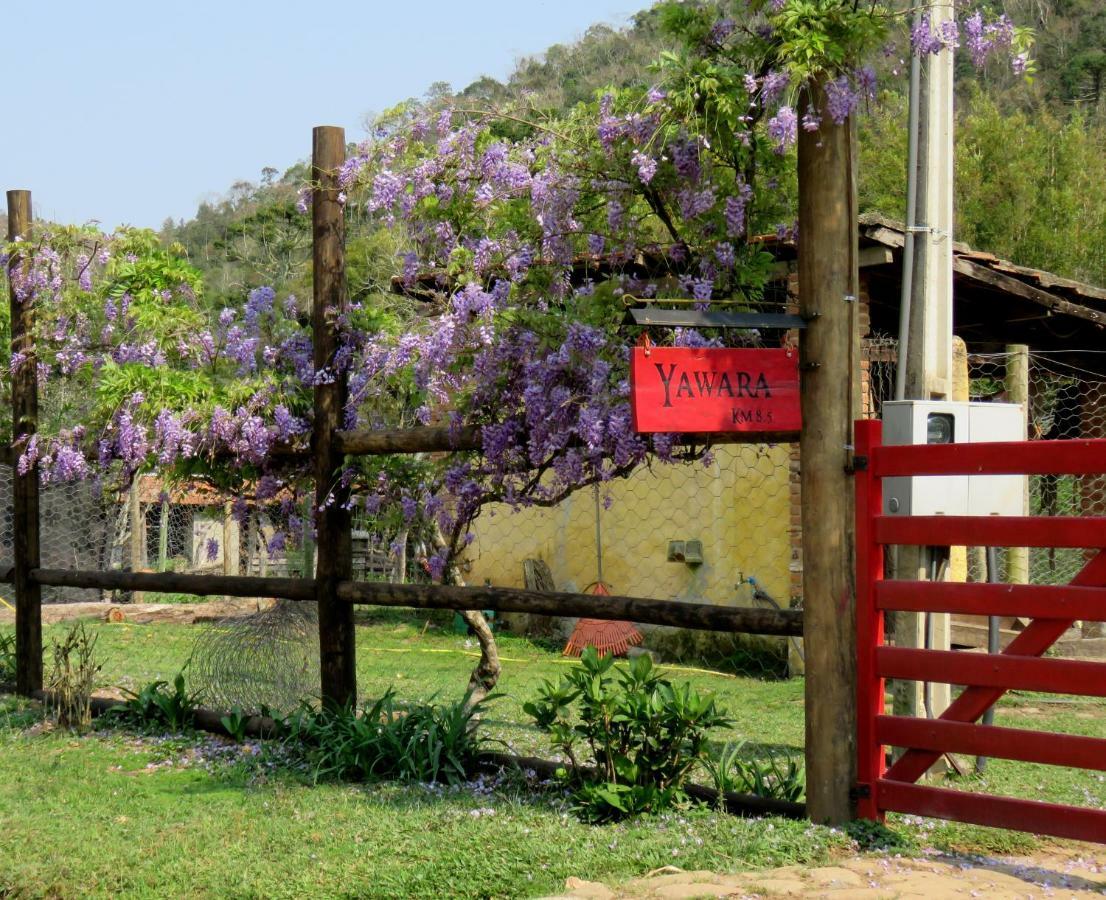 Chalet Da Hortensias Villa Cunha Ngoại thất bức ảnh